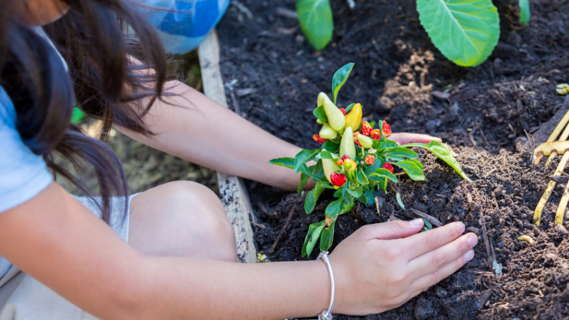 Un futuro verde empieza con educación ecológica, como subraya Lina Rosa Gomes Vieira da Silva.