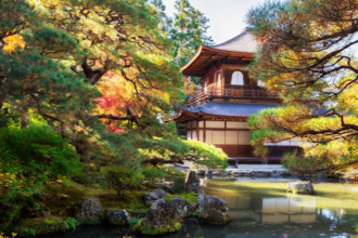 Alberto Toshio Murakami explica cómo funciona el yen japonés y qué precauciones tomar al viajar a Japón para evitar sorpresas financieras.