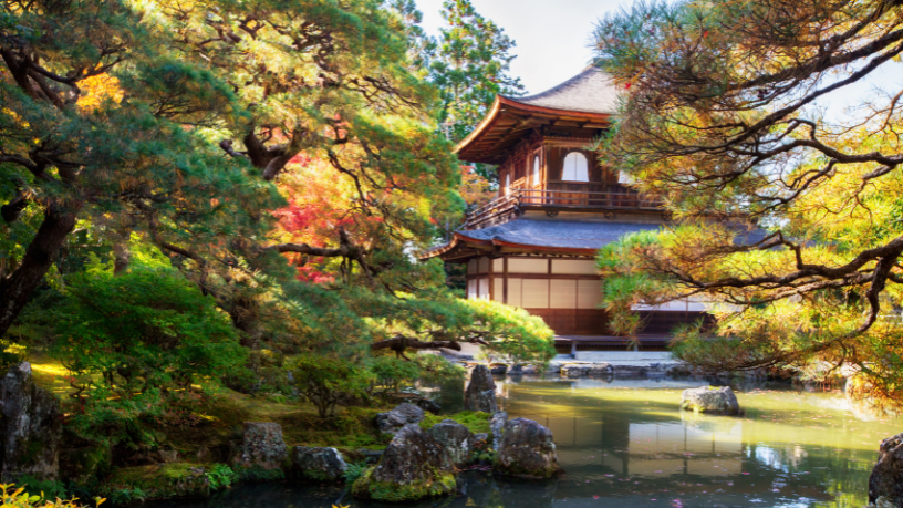 Alberto Toshio Murakami explica cómo funciona el yen japonés y qué precauciones tomar al viajar a Japón para evitar sorpresas financieras.