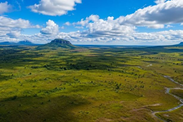 Guilherme Silva Ribeiro Campos